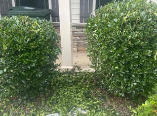 Bush Trimming by Rick DeBerry for Linda K. in Simpsonville, SC