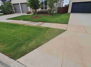 Terry S.'s Lawn Mowing Service service result