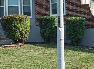 Bush Trimming by Phillip Lopez for Dana C. in Independence, MO