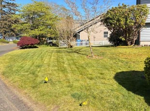 Janis R.'s Grass Cutting service result