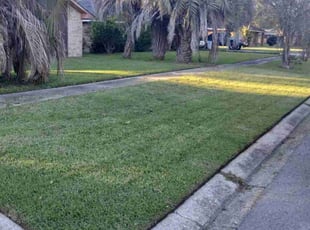 Robert F.'s Lawn Mowing service result