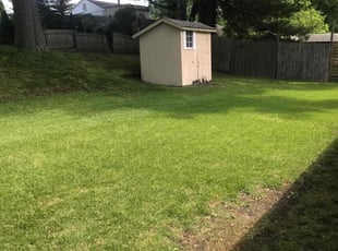 Helen M.'s Grass Cutting service result