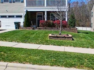 Lisette G.'s Lawn Mowing Service service result
