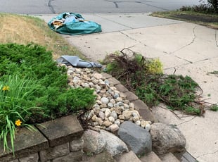 Bush Trimming by Leonard Hackensmith for Ian P. in New Brighton, MN