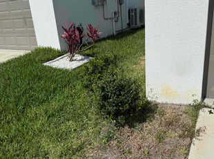 Bush Trimming by William Chavers for Raven c. in Ruskin, FL