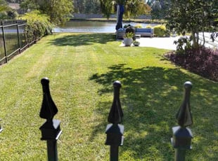 Lauren U.'s Lawn Service service result