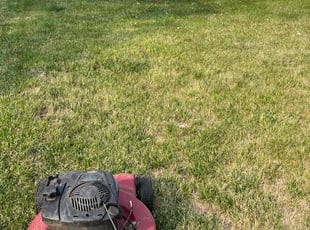 Bush Trimming by Alesandre Duarte for Morgan W. in Sterling, VA