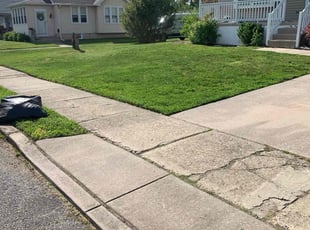 Princess G.'s Lawn Mowing Service service result