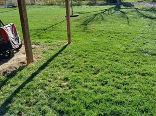 Patricia R.'s Lawn Mowing Service service result