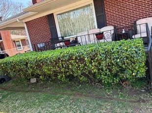 Bush Trimming by Naji Robinson for Frances O. in Greenville, SC