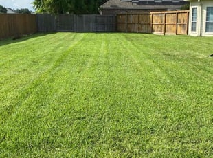 Zhirui D.'s Lawn Care service result
