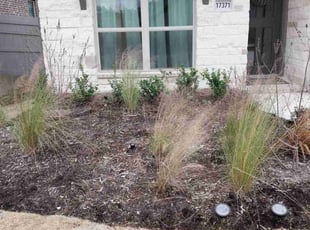 Weeding by Daiby Alvarez for Chanda C. in Conroe, TX