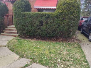 Bush Trimming by Rayshawn Martin for Chandra W. in Cleveland Heights, OH