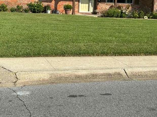 Danielle A.'s Grass Cutting service result