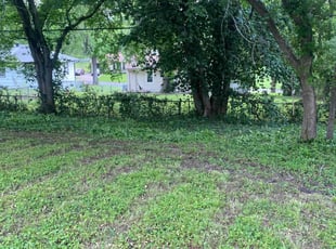Cleanups by Shawn Byers for Leslie B. in Kansas City, MO