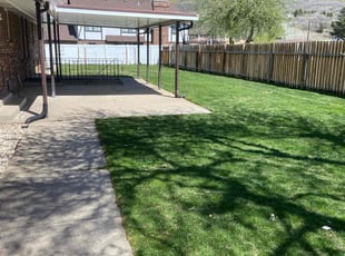 Lisa B.'s Lawn Mowing service result