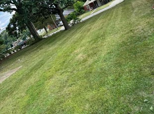 Rhonda B.'s Lawn Care service result