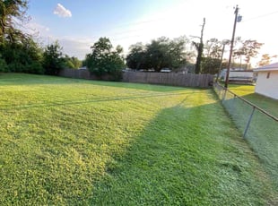 Vana O.'s Lawn Care service result