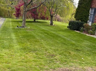 Matthew M.'s Lawn Service service result