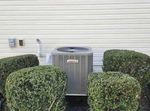 Bush Trimming by Jose Gonzalez for Sharla P. in White Plains, MD