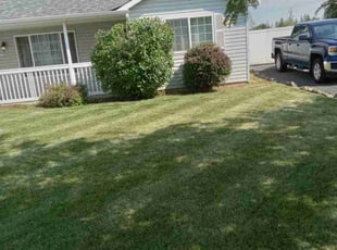 Bush Trimming by Randy Glidewell for Shiela W. in Medical Lake, WA