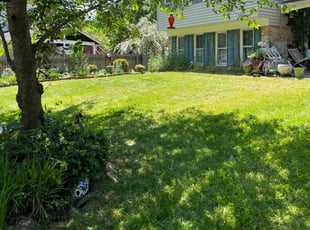 Shelita J.'s Lawn Mowing service result