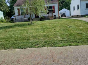 Barbara W.'s Lawn Maintenance service result