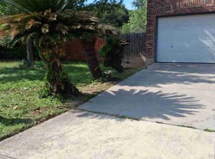 Bush Trimming by Jason Salazar for Felicia W. in San Antonio, TX