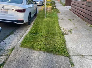 Weeding by Anthony Brown for Janetta M. in Richmond, CA