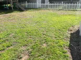 Cleanups by Leland Daughtry for Jake L. in East Providence, RI