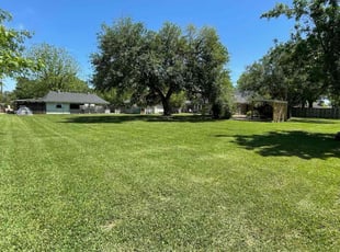 Marilyn d.'s Lawn Mowing service result
