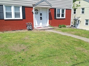 Leaf Removal by Savin Ungaro for Malinda L. in New Britain, CT