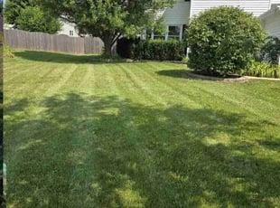 David S.'s Lawn Care service result