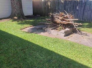 Leaf Removal by Trevor Philipp for Joyi W. in Norfolk, VA