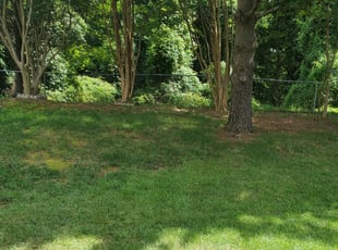 Bush Trimming by Michelle Estes for Brandon W. in Bowie, MD