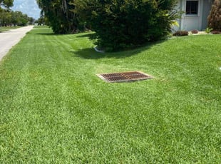 Kurian A.'s Lawn Care service result