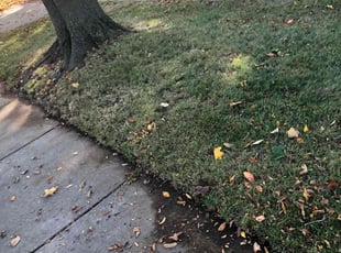 Leaf Removal by Dontrell Hood for Karen N. in Wauwatosa, WI