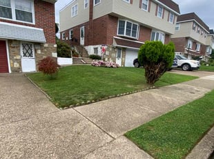 Anita H.'s Lawn Service service result