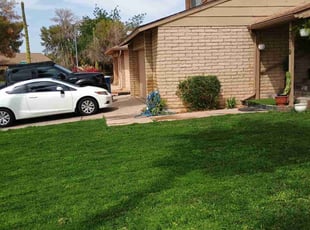Bernard R.'s Grass Cutting service result