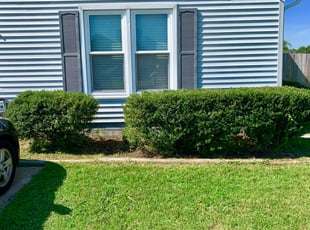Bush Trimming by Antione Juniper for Mario R. in Virginia Beach, VA