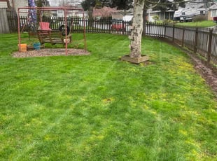 Andrew M.'s Lawn Mowing service result