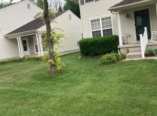 Marianne S.'s Lawn Mowing service result
