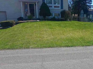 Yasmin S.'s Lawn Service service result