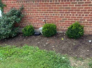 "Courtney S.'s Flower Bed Weeding service result
