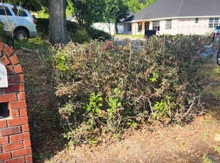 Bush Trimming by Erik Petersen for Leopoldo L. in Pensacola, FL
