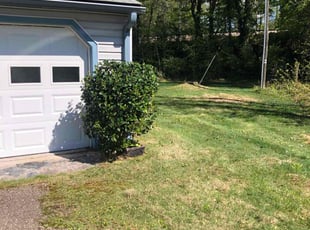 Bush Trimming by James Meredith jr for Bilal A. in Petersburg, VA