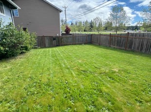 Linda C.'s Lawn Service service result