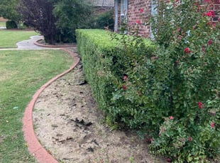 Bush Trimming by Aaron Haight for Miriam B. in Broken Arrow, OK