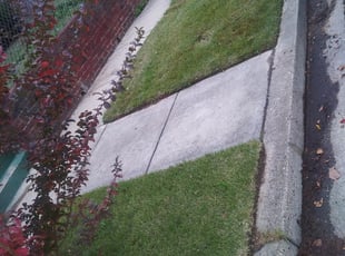Leaf Removal by Ronnell Leak for David O. in Washington, DC