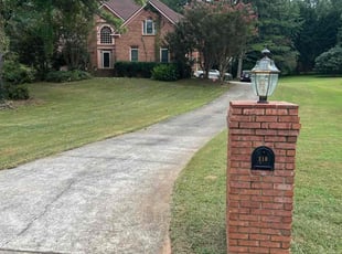 Damaso S.'s Lawn Maintenance service result
